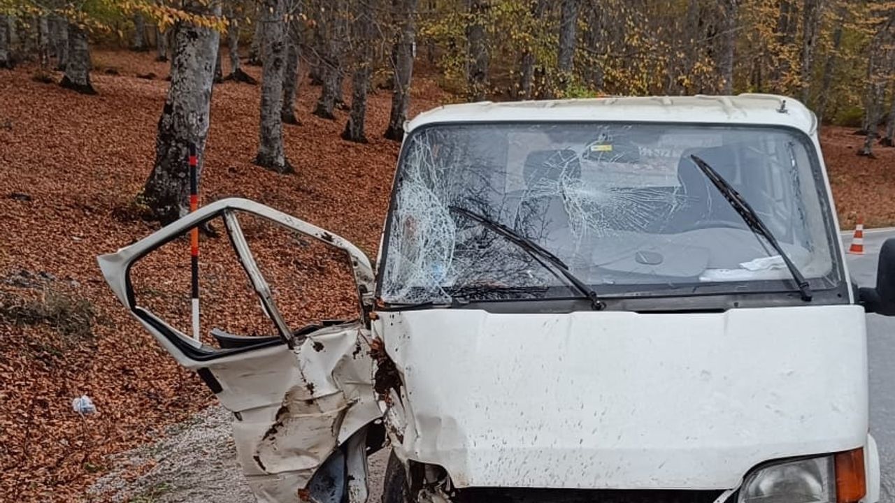 Tokat'ta minibüsün devrildiği kazada 1 kişi öldü, 1 kişi yaralandı