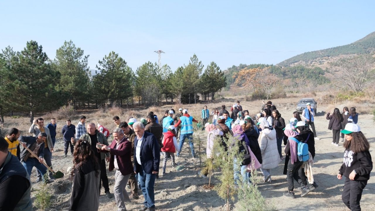 Turhal'da Milli Ağaçlandırma Günü'nde fidanlar toprakla buluşturuldu
