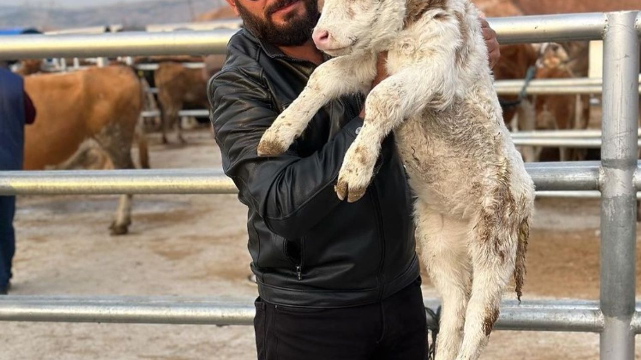 Hobi olarak başladı, Türkiye’nin dört bir yanına hayvan satıyor