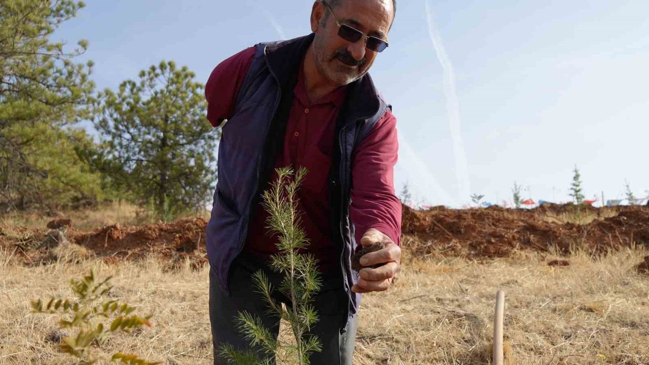 Kırıkkale’de "100. Yıl Cumhuriyet Ormanı" oluşturuldu