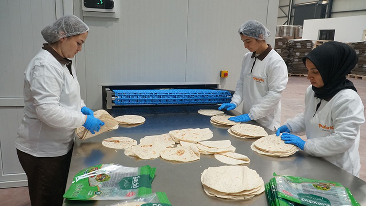 Osmancık'tan üretiliyor, dünyaya satılıyor: Yeni Tortilla Fabrikası ilk ihracatını yaptı