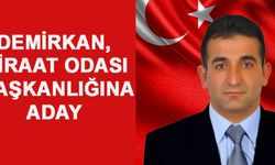 Demirkan, Ziraat Odası Başkanlığına aday 