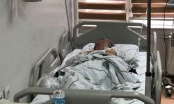 Erzurum'da kurt dehşeti: 5 kişiyi hastanelik etti