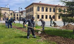 Bayram öncesi mezarlıklar için Çorum Belediyesi harekete geçti