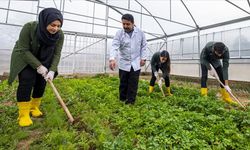 MEB'in tarım liseleri hamlesiyle Türkiye tarım üssü haline gelecek