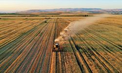 TARSİM, 2022'de 296 milyar TL'lik tarımsal varlığı güvence altına aldı