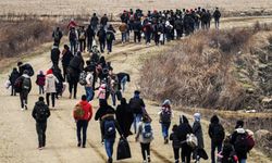 Yurt dışından Türkiye'ye 340 bin 845 kişi göç etti