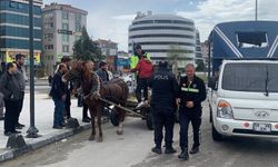 Tekirdağ’da polisin ‘dur’ ihtarına uymayan at arabası ortalığı birbirine kattı