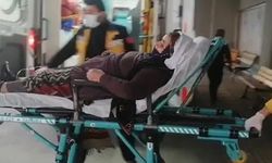 Doğadan topladıkları mantarlar sağlığını tehlikeye attı: Tokat'ta karı koca hastanelik oldu