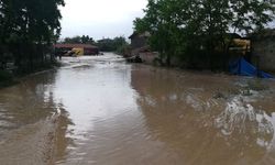 Şiddetli yağış sonucu sel baskını: Ev, ahır ve ekili arazide maddi hasar oluştu