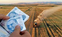 Çiftçilere müjde: Tarımsal Destekleme Ödemesi bugün yatıyor