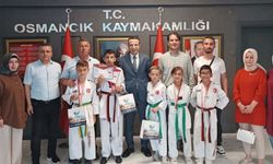 Kaymakam Akpay, Taekwondo Şampiyonalarını ağırladı