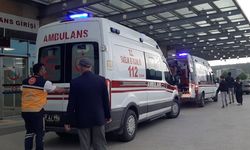 Çorum'da mantar zehirlenmesi alarmı: 10 kişi hastaneye kaldırıldı