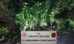 Amasya'da uyuşturucu operasyonunda 2 zanlı tutuklandı