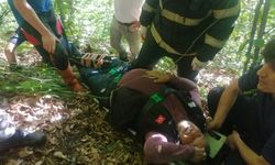 Ordu'da ormanlık alanda düşen kişi yaralandı