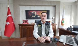 Samsun'da 120 dönüm araziye 20 bin defne fidanı dikildi