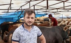Trabzon'da kurban pazarında arife günü yoğunluğu