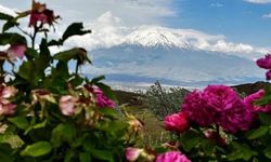 Ağrı Dağı'nın büyüleyici dört mevsim görüntüsü