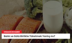 Balık ve sütü birlikte tüketmek yanlış mı?