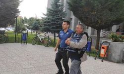Çorum'da erik toplama tartışmasında vatandaşı vuran bekçi tutuklandı