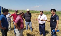 Çorum'da arpa hasadı başladı: Ziraat Odası Başkanı çiftçilere uyarılarda bulundu