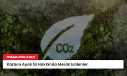 Karbon Ayak İzi Hakkında Merak Edilenler