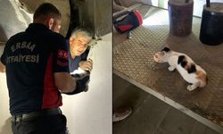 Tokat'ta havalandırma boşluğuna düşen yavru kediyi itfaiye ekipleri kurtardı