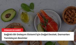 Sağlıklı Bir Dolaşım Sistemi İçin Doğal Destek; Damarları Temizleyen Besinler