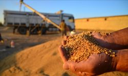 Buğday alım fiyatları üreticilerin beklentisini karşıladı mı?