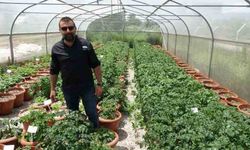 Tokat'ta yürütülen ıslah çalışmaları market fiyatlarına çözüm getirecek