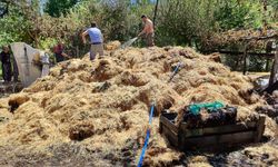 Amasya'da yangın sonucu 200 balya saman zarar gördü
