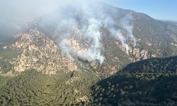 GÜNCELLEME - Bolu'da yıldırım düşmesi sonucu çıkan orman yangını kontrol altına alındı