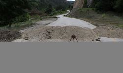 Karabük'te heyelan nedeniyle bazı köy yolları ulaşıma kapatıldı
