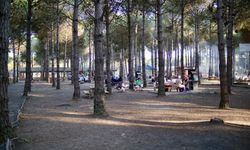 Samsun'un yeni turizm merkezi, "Çarşamba Orman Park"