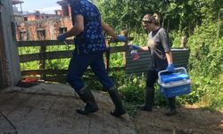 Zonguldak'ta 136 köyde şap karantinası başlatıldı