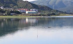 Oltacıları sevindirecek haber: Almus Baraj Gölü'nde av yasağı sona erdi