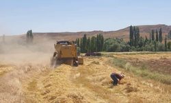 Çiftçilerin emekleri koruma altında: Biçerdöver kontrolleri başladı