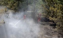 Çorum'da ormanlık alanda yangın: 5 dönümlük ormanlık alan zarar gördü