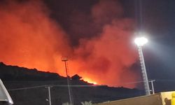 İZMİR - Çeşme'de makilik alanda çıkan yangına müdahale ediliyor (2)