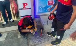 Banka ATM'sine sıkışan yavru kediyi itfaiye kurtardı