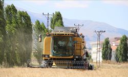 2024 Türkiye tarım sayımı: Tarım sektöründe neler değişecek?