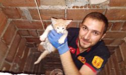 Havalandırma boşluğunda mahsur kalan kedi itfaiye tarafından kurtarıldı