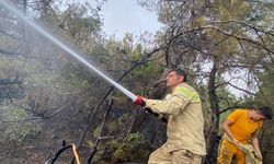 Kargı’nın ateş savaşçıları İzmir’de orman yangınlarına müdahale ediyor!