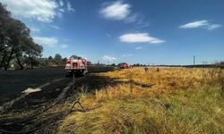 Bolu'da buğday tarlasında çıkan yangın söndürüldü