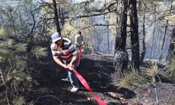 Bolu'da çıkan orman yangınlarına müdahale sürüyor