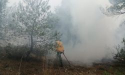 Bolu'da yıldırımın  isabet etmesi soncu orman yangını çıktı