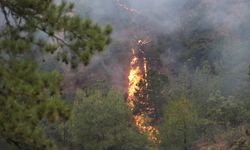 GÜNCELLEME 2 - Bolu'daki orman yangınına müdahale ediliyor