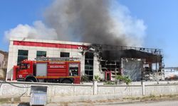 GÜNCELLEME 3 - Kastamonu'da kapı fabrikasında çıkan yangın söndürüldü