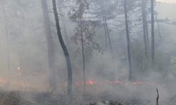 GÜNCELLEME - Bolu'da çıkan orman yangınına müdahale ediliyor