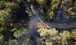GÜNCELLEME - Kastamonu'da ormanlık alanda çıkan yangın kontrol altına alındı